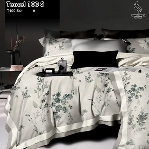 T100-541